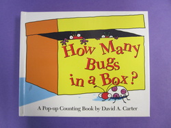 how many bugs in a box spaghetti bugs image